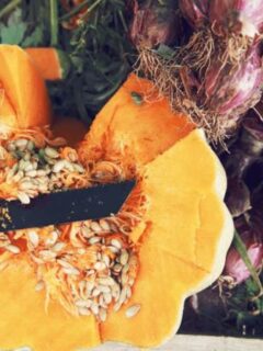 How To Cut A Pumpkin