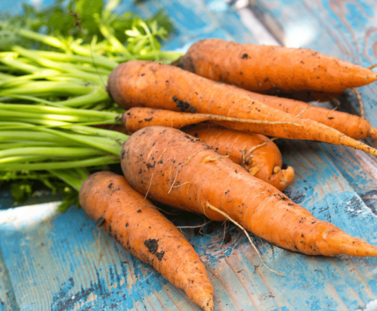 How To Tell If Carrots Are Bad- Do You Know The Signs?