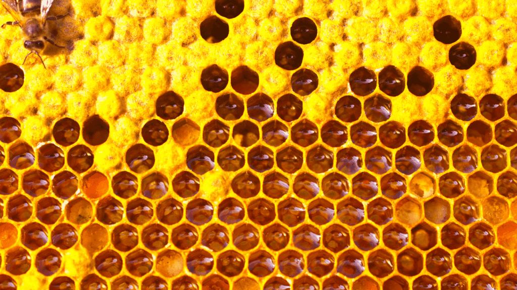 Honey does a great job adhering to itself