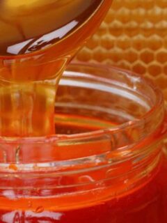 What dissolves honey
