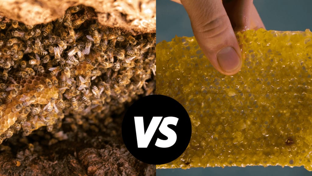 Wild Honey vs. Farmed Honey