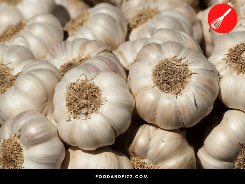 Garlic contains lot of vitamins or nutrients