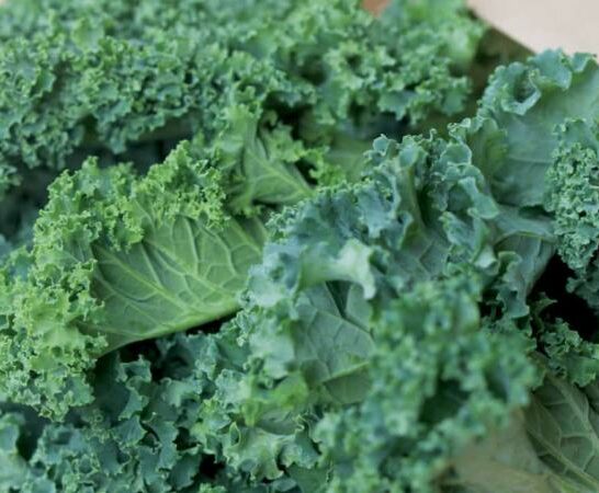How Much is a Bunch of Kale? The Concrete Answer!