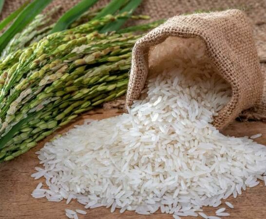 Is White Rice Bleached? The Honest Truth
