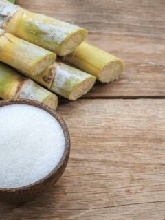 Sugar Cane How to Eat