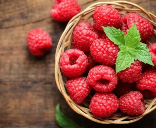 Tiny Bugs in Raspberries – Is This A Thing?