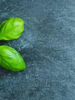 Can You Eat Basil That Has Turned Black