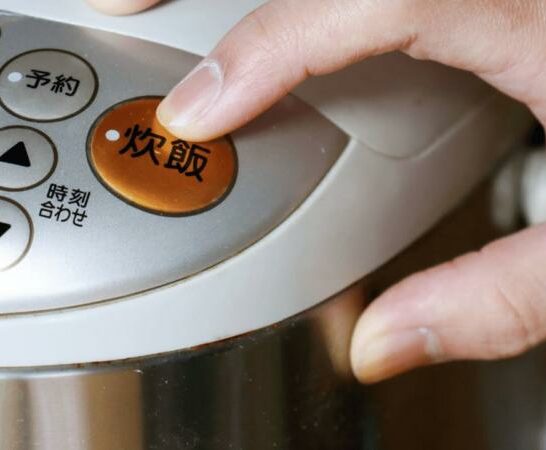 How Does A Rice Cooker Work?- Hmm Very Interesting