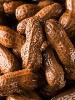 How To Freeze Boiled Peanuts