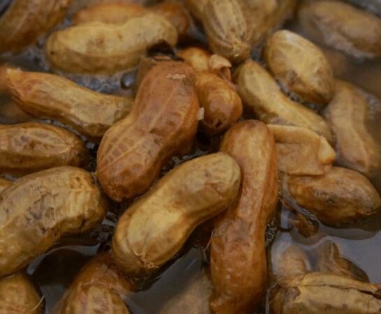 How To Reheat Boiled Peanuts – It’s Easier Than You Think!