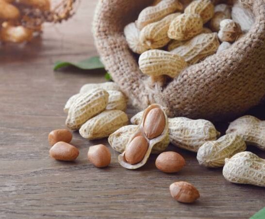 How To Store Raw Peanuts – You Need To Know This!