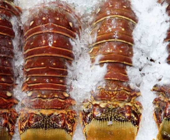 How To Tell If Frozen Lobster Is Bad – Better Safe Than Sorry!