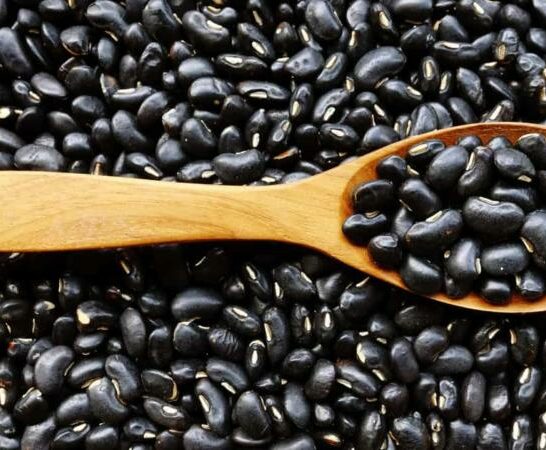 How to Heat up Black Beans? Know This!