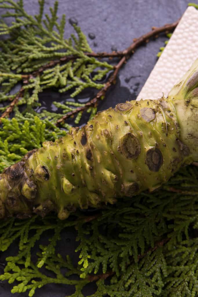Real wasabi is very expensive. That is why green-colored white horseradish is often used