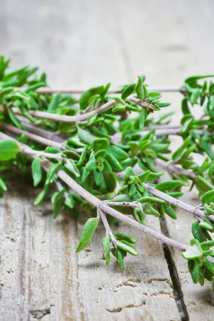Thyme can be used as an edible string