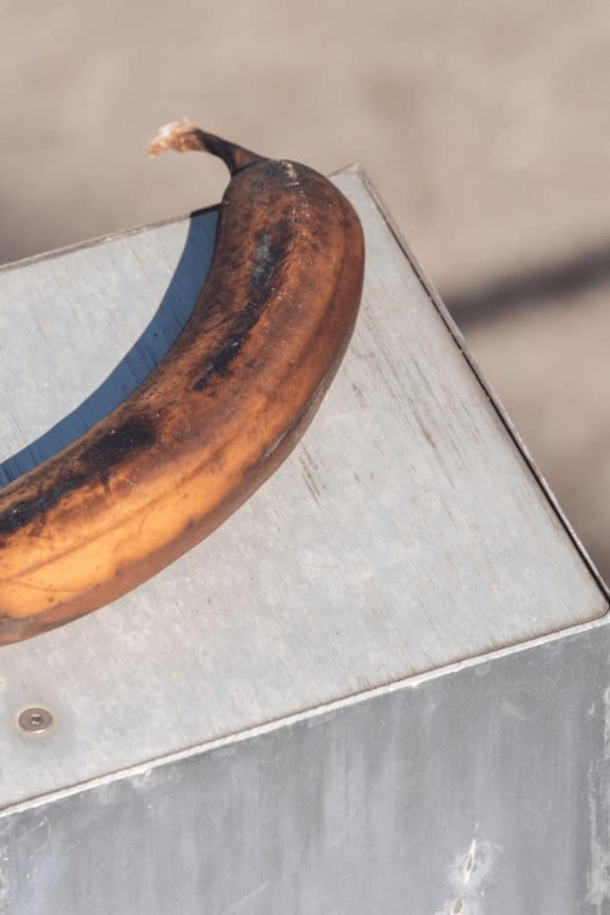 Brown bananas are still safe to eat