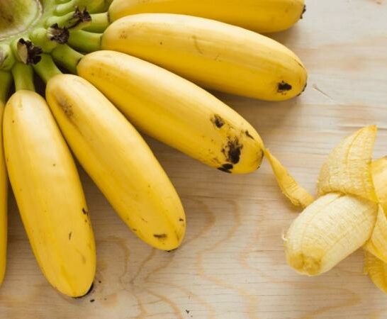 How to Tell if a Banana is Ripe? 9 Signs to Watch Out For!