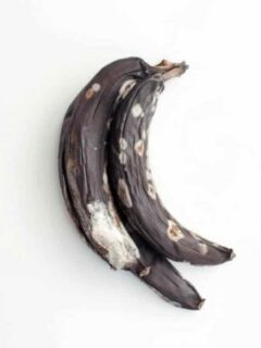 Moldy Bananas