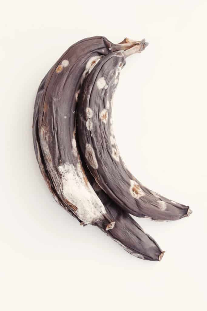 Moldy Bananas are not safe to eat