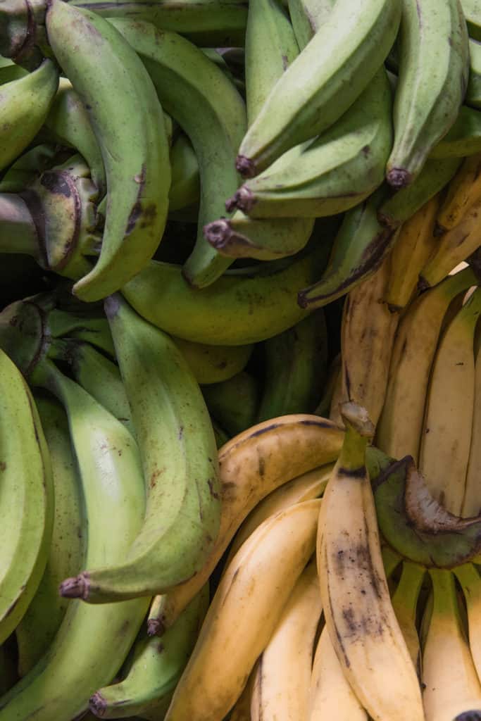 Plantains are also called green bananas or cooking bananas