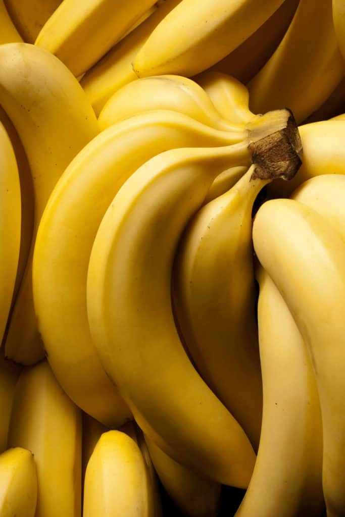 Ripe bananas are easy to snap off