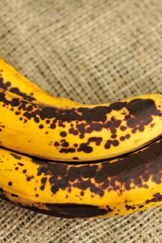 Starch breaks down into sugar when bananas are ripening