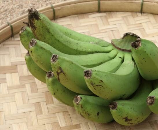 7 Reasons Why Your Bananas Aren’t Ripening