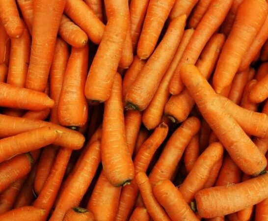 What are Table Carrots? The #1 Best Answer!