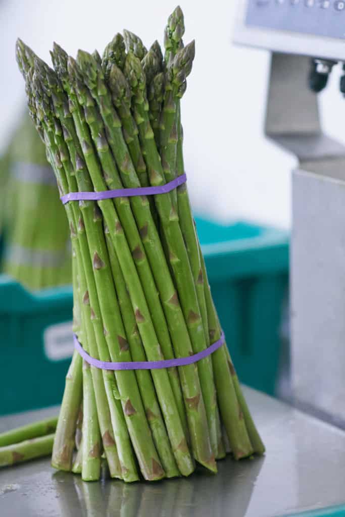 Bunch of Asparagus in a Weighing Scale