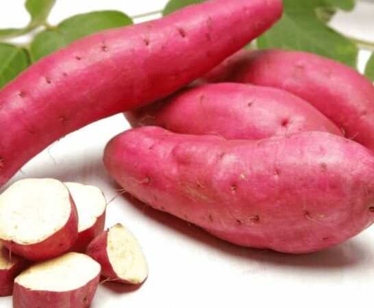 Do Sweet Potatoes Oxidize? #1 Truth Revaled