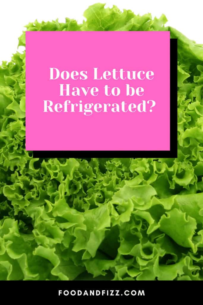 Does Lettuce Have to be Refrigerated?