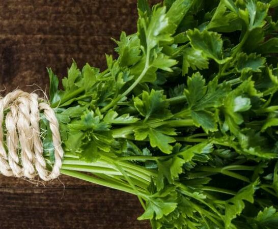 How Much is a Bunch of Parsley? #1 Best Answer