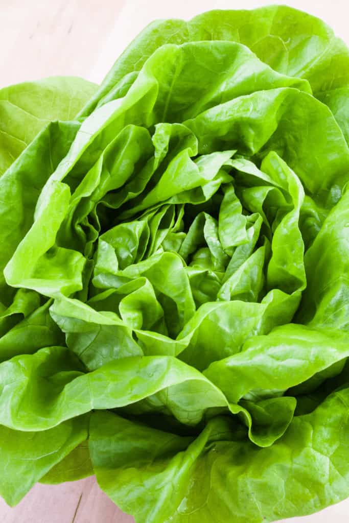 Lettuce needs moisture and airflow to stay fresh