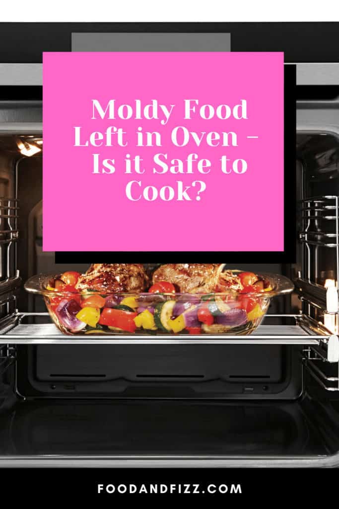 Moldy Food Left in Oven - Is it Safe to Cook?