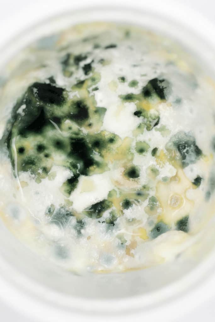 Moldy food is not safe to eat. You cannot just take the moldy layer off as mold spores run deep into the food