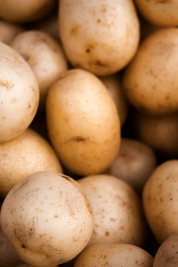 Yukon gold potatoes are a hybrid cross between your standard North American white potatoes and smaller South American yellow potatoes
