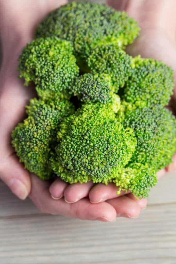 Feel the Texture of Broccoli