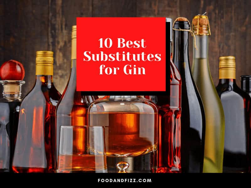 10 Best Substitutes for Gin