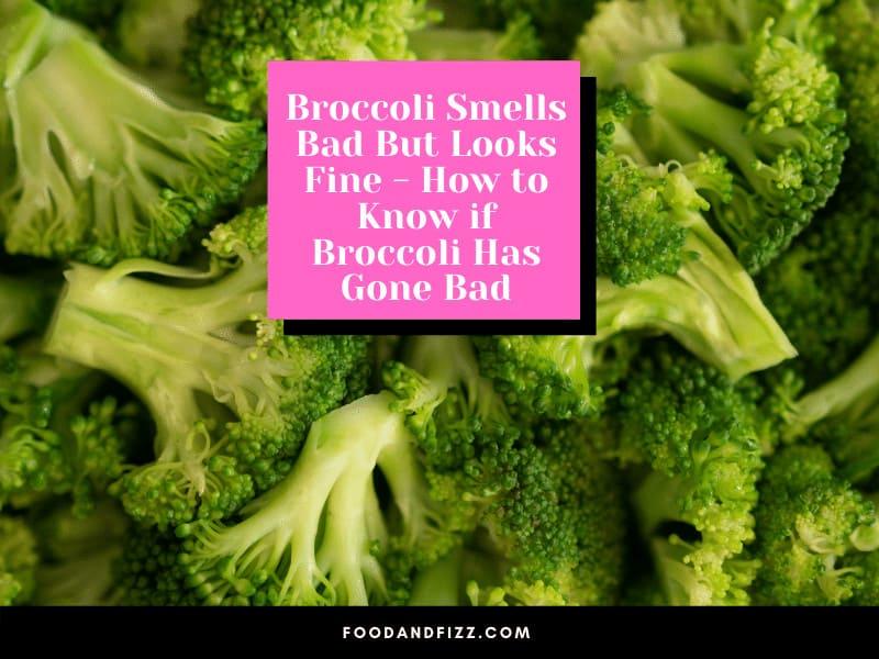 Broccoli Smells Bad But Looks Fine - How to Know if Broccoli Has Gone Bad