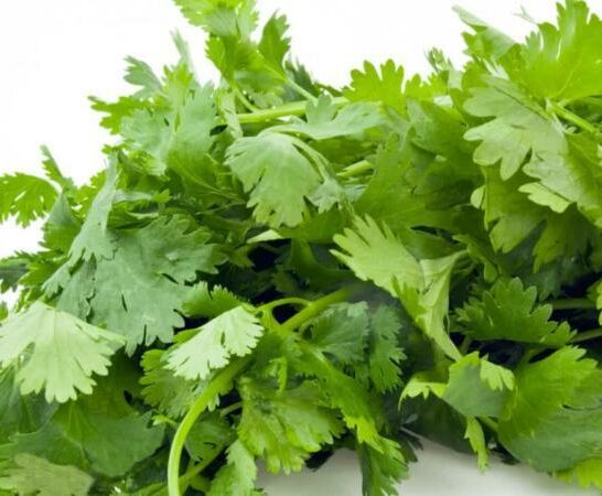 How Much Is a Bunch Of Cilantro? #1 Correct Answer
