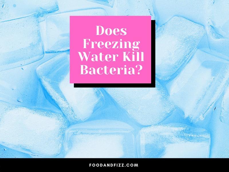 Does Freezing Water Kill Bacteria?