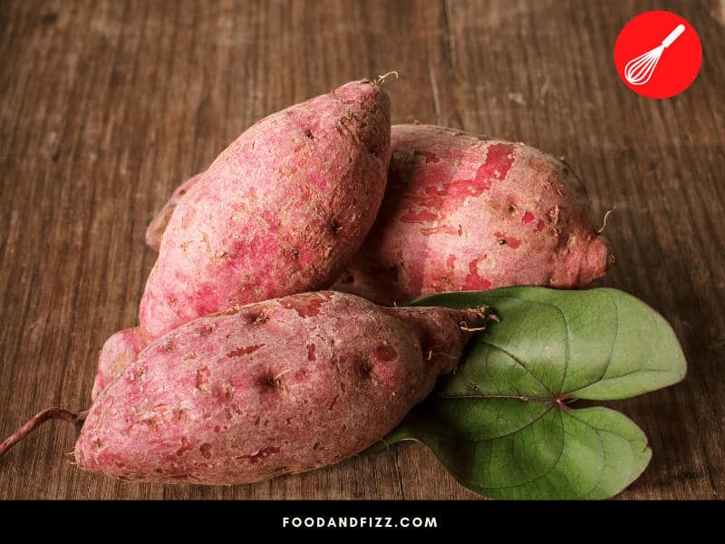 Holes on sweet potatoes are caused by wireworms, a common pest that particularly likes root crops like sweet potatoes.