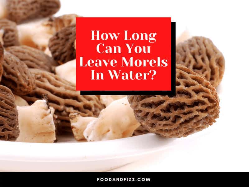 How Long Can You Leave Morels In Water?