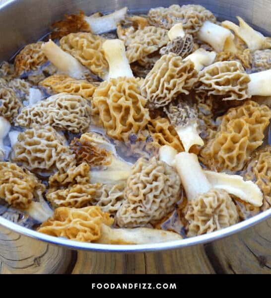 How Long Can You Leave Morels In Water? #1 Best Answer