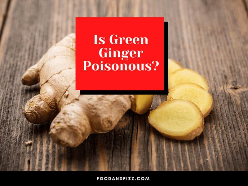 Is Green Ginger Poisonous?