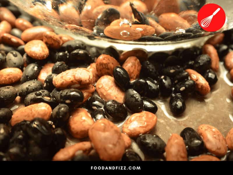 Soaked beans release carbon dioxide, which causes fizzing and bubbling.