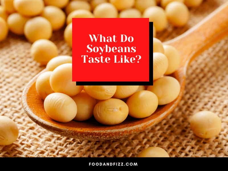 What Do Soybeans Taste Like?