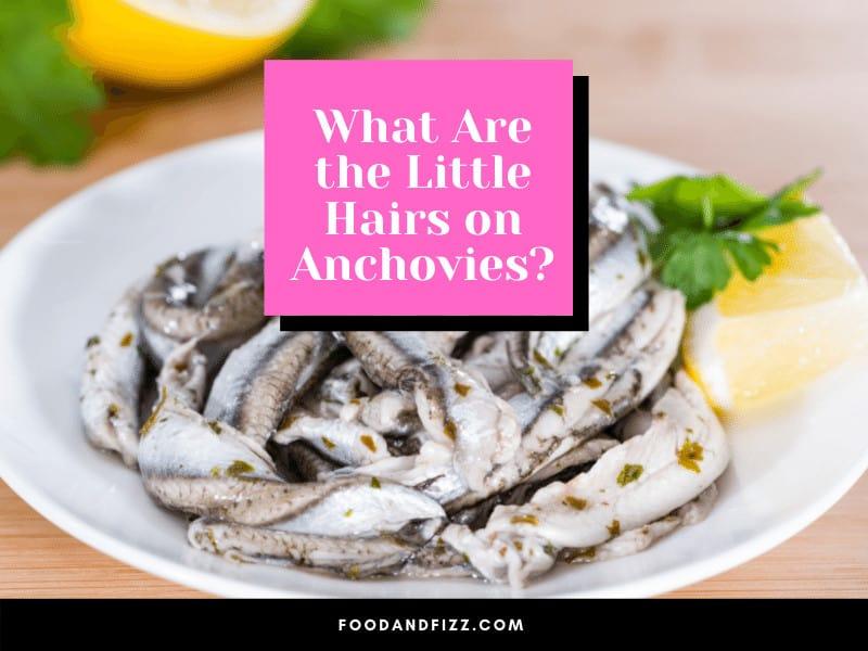 What are the Little Hairs on Anchovies