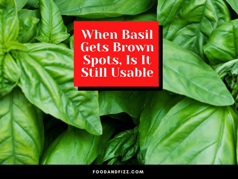 When Basil Gets Brown Spots, Is It Still Usable?
