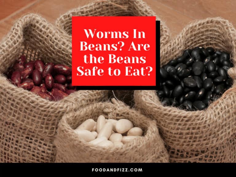 Worms In Beans What Are They? Are The Beans Safe To Eat?